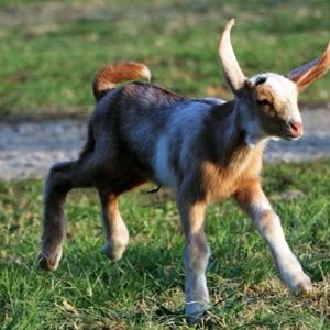 Meet your Posher, Richelle